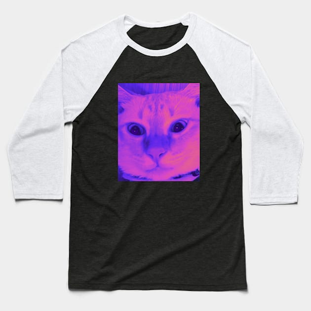 Cat stares into your soul v1 Baseball T-Shirt by fai-ry-tale